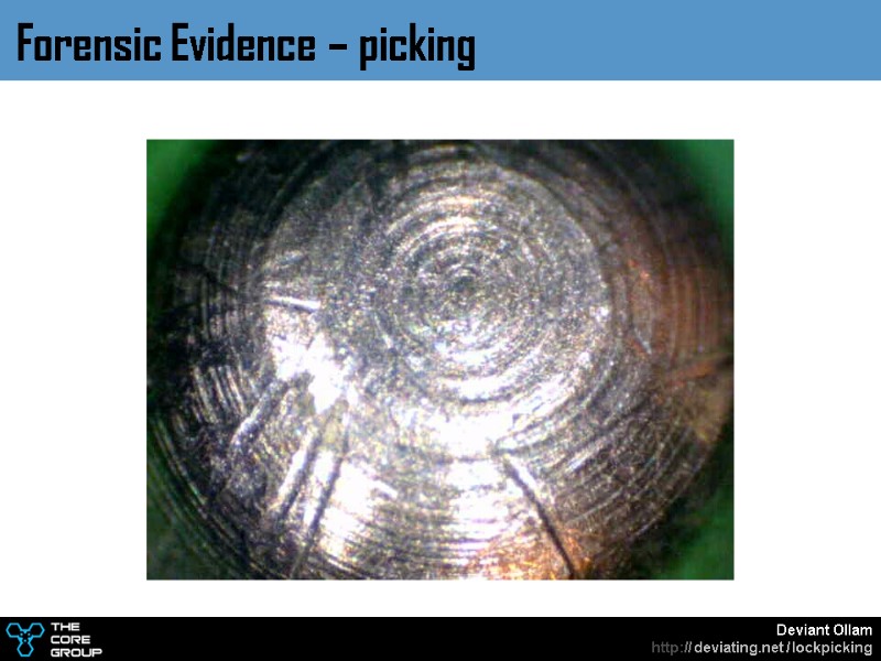 Forensic Evidence – picking